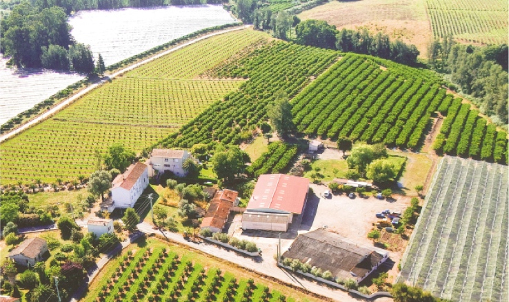 Exploitation vue du ciel