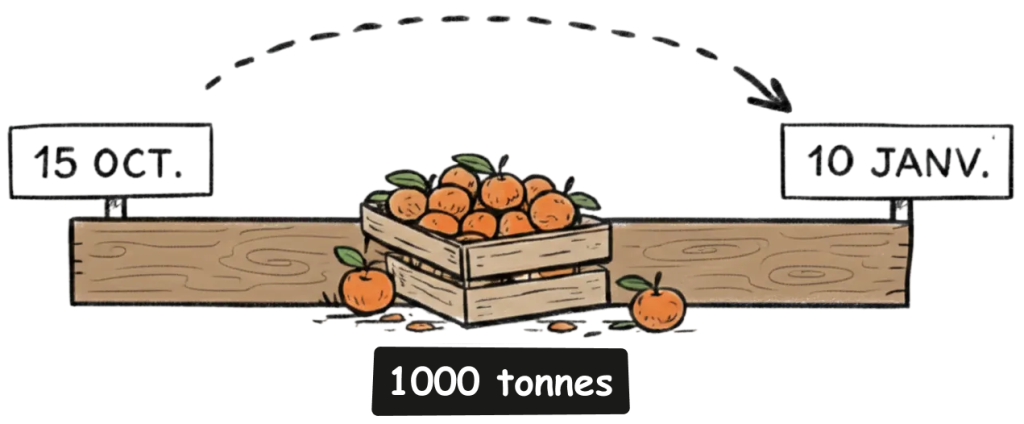 Période de récolte de la clémentine corse
